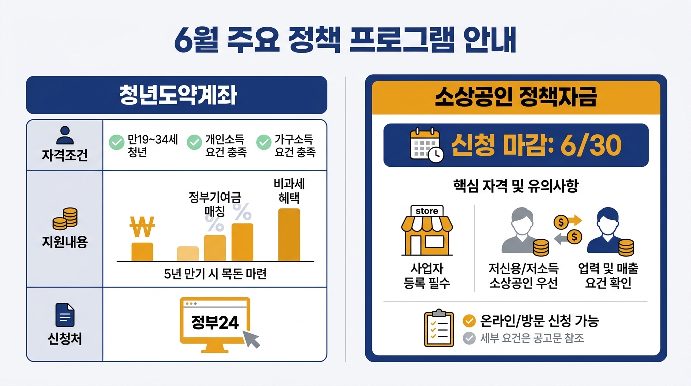 6월 정부지원금 신청 순서 — 마감일 있는 지원금 먼저, 상시 신청 지원금은 점검 흐름도